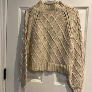 American Eagle Turtleneck Sweater